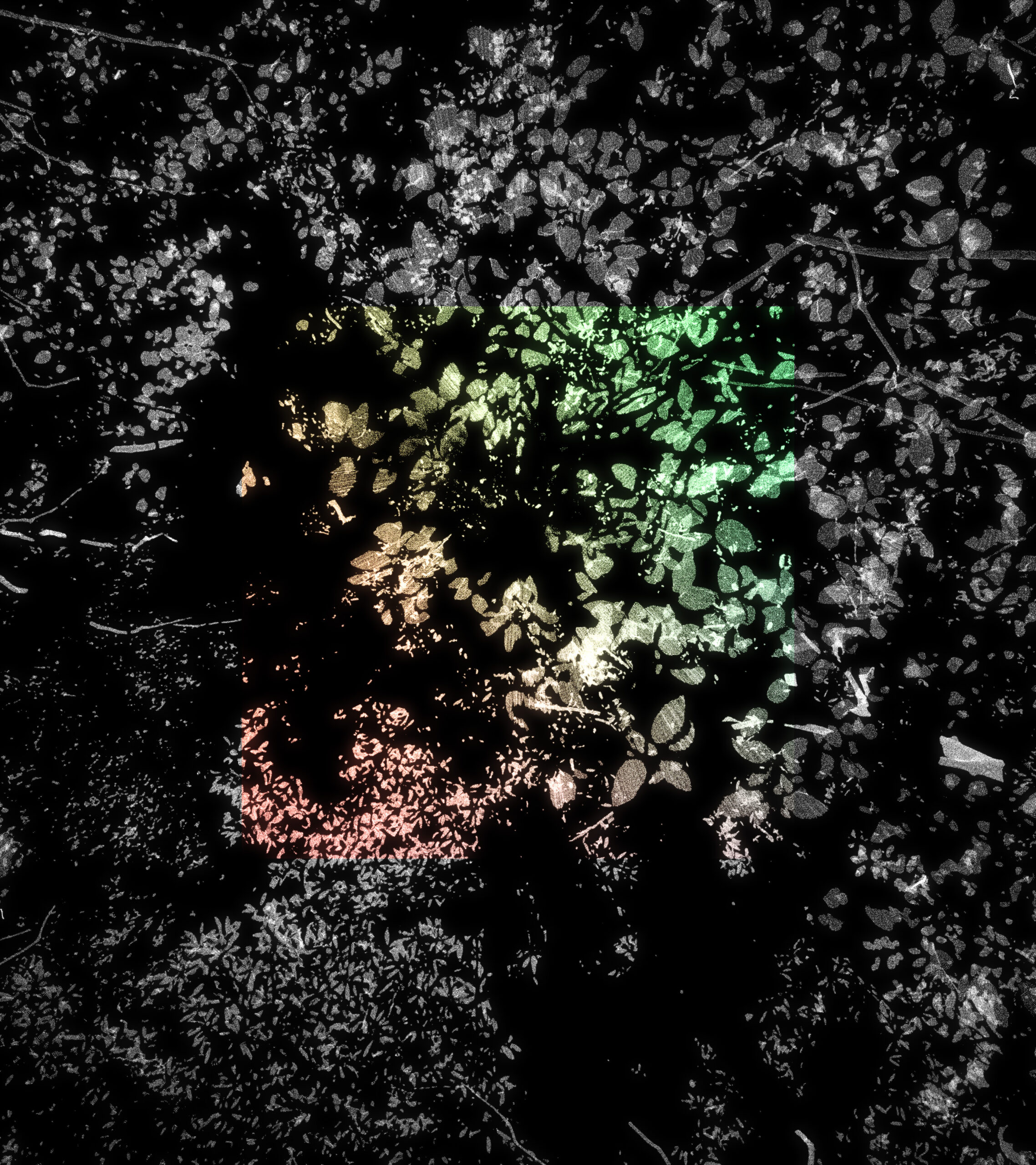 [VP]양숙현_22