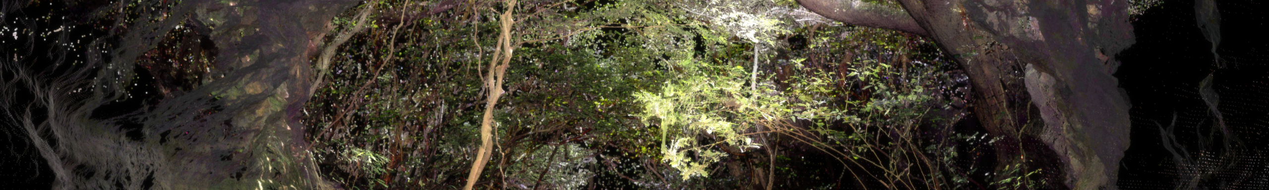 [VP]양숙현_5