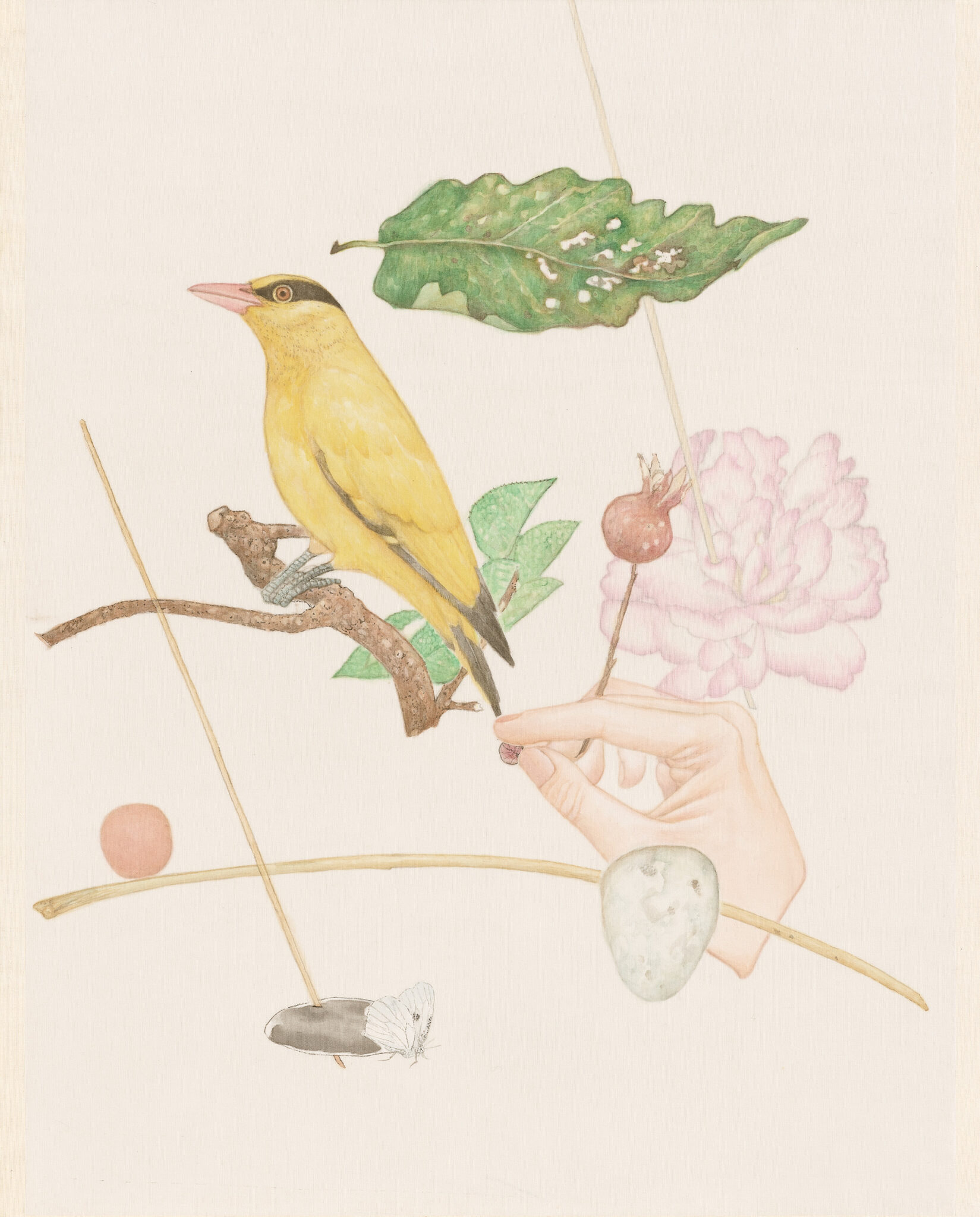 [VP]진민욱_46