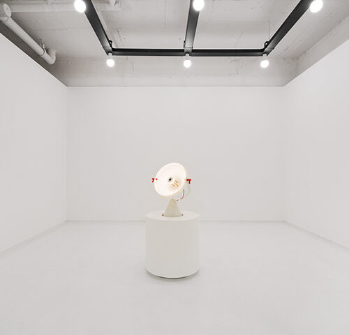 VP_후니다킴_19-