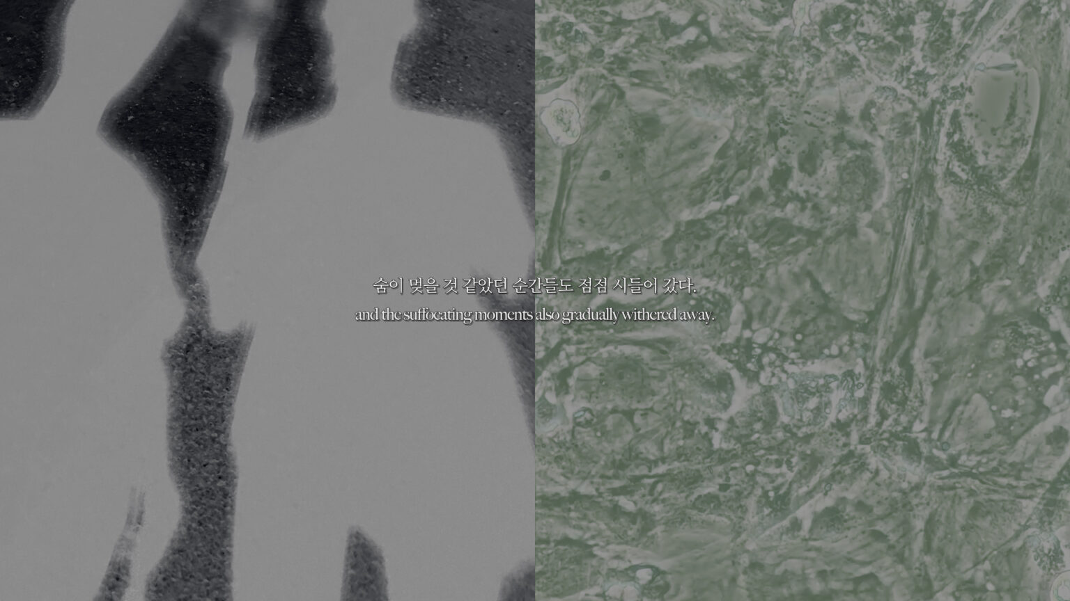 [VP]김재원_18