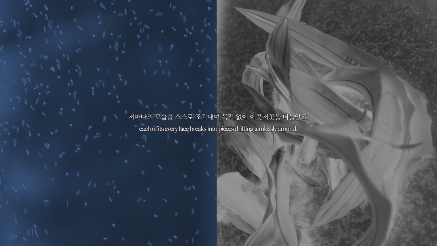 [VP]김재원_19