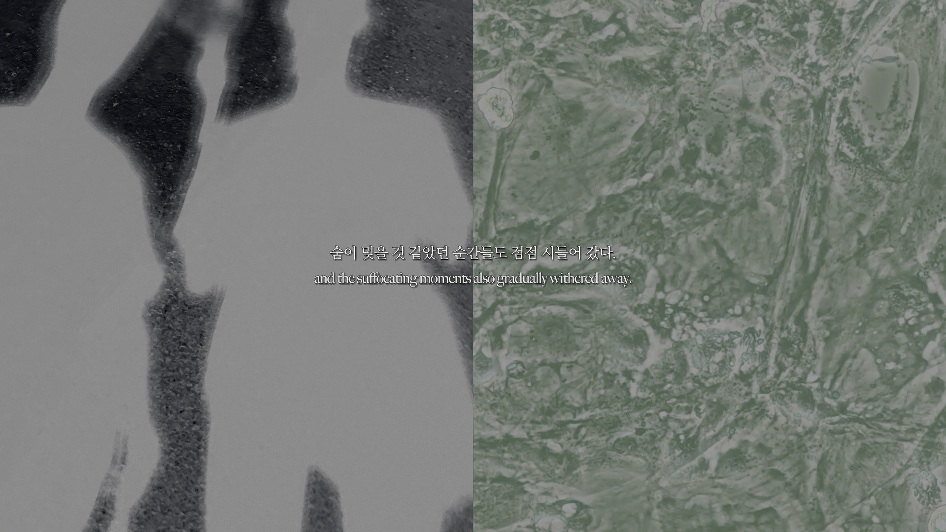 [VP]김재원_18