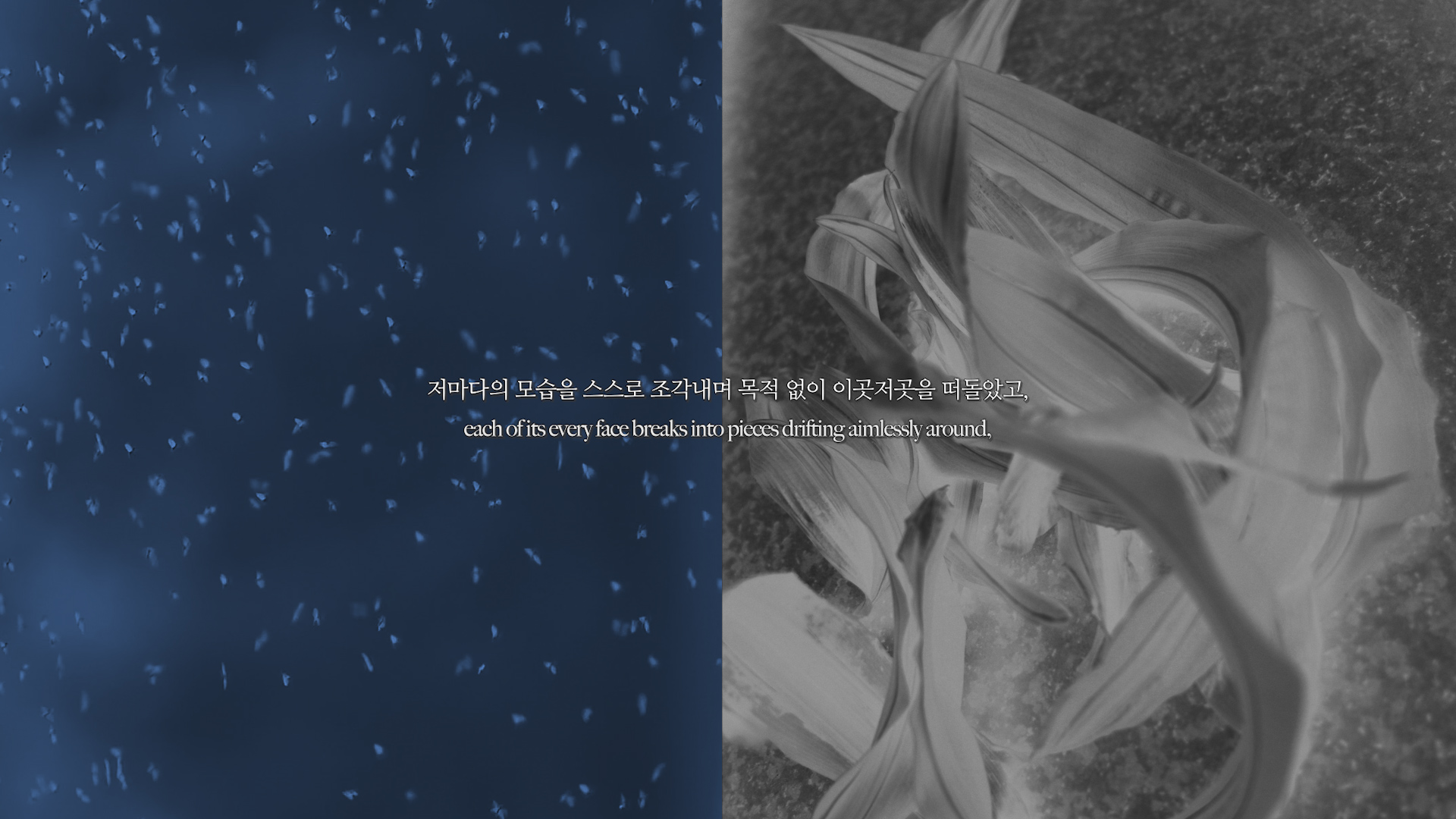 [VP]김재원_19