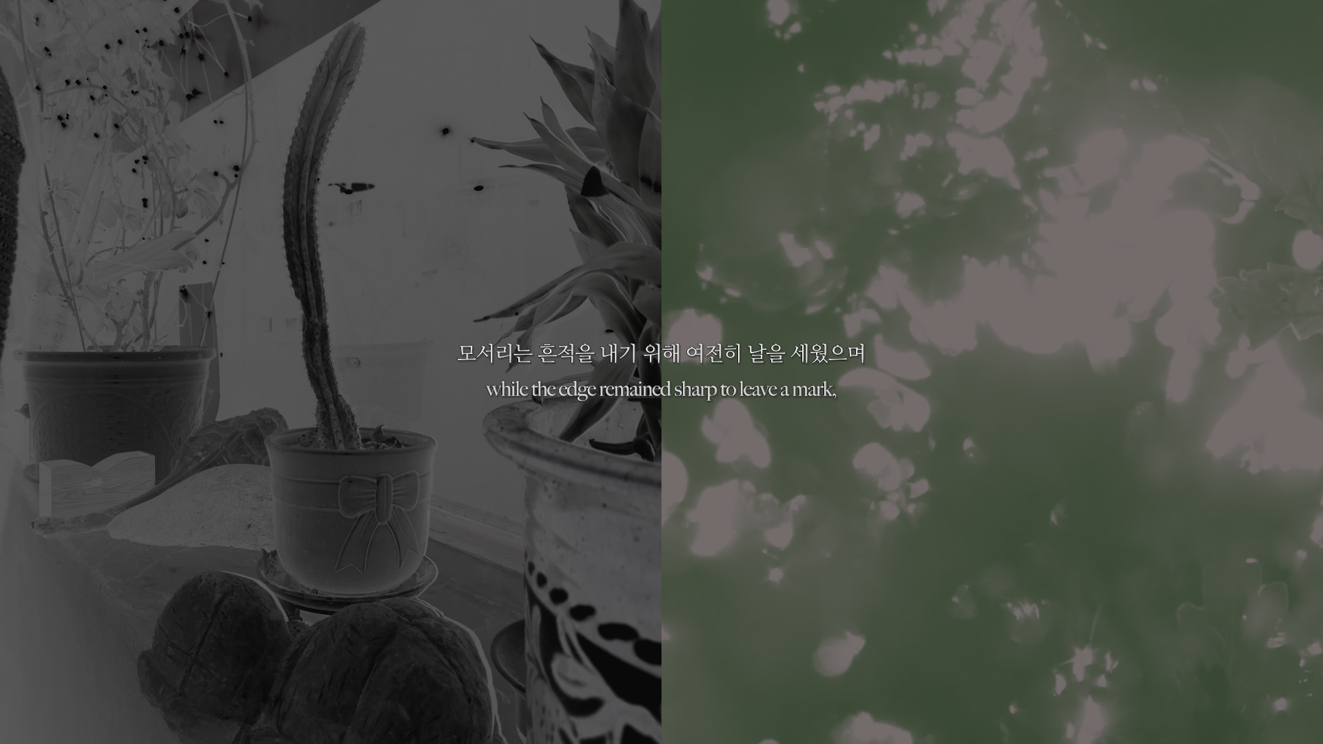 [VP]김재원_20