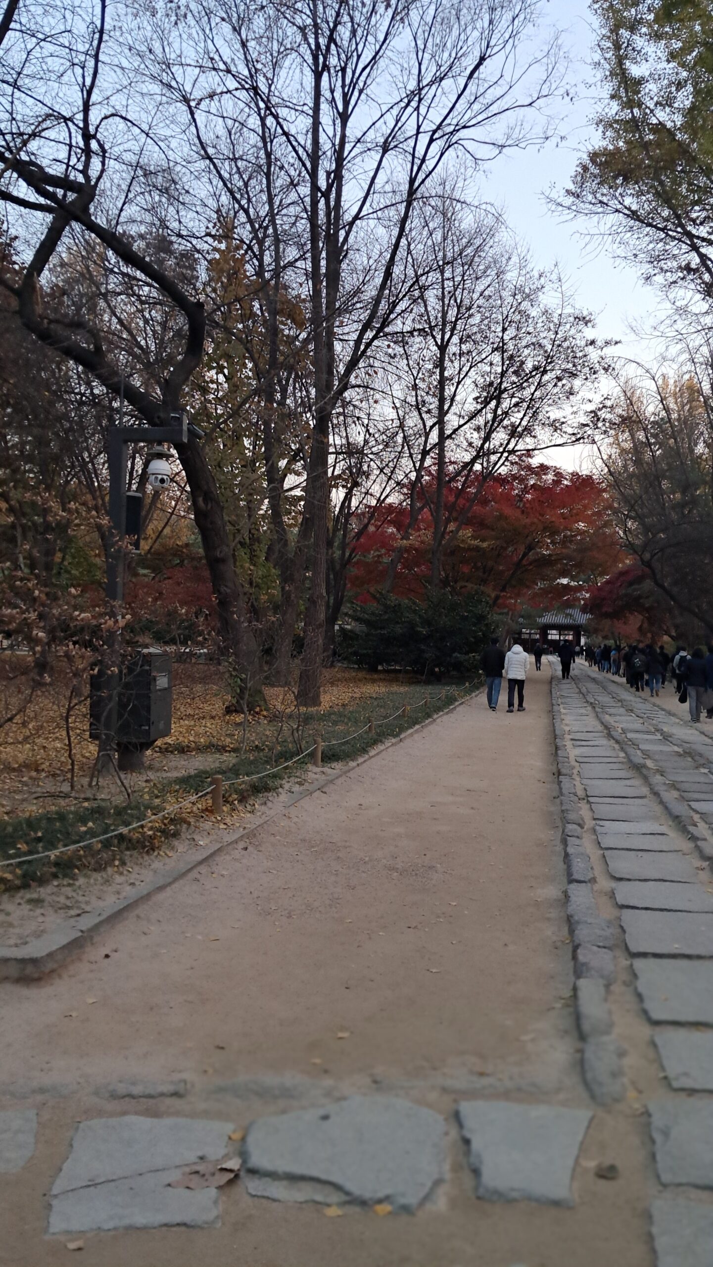 [Essay]종묘사직_7