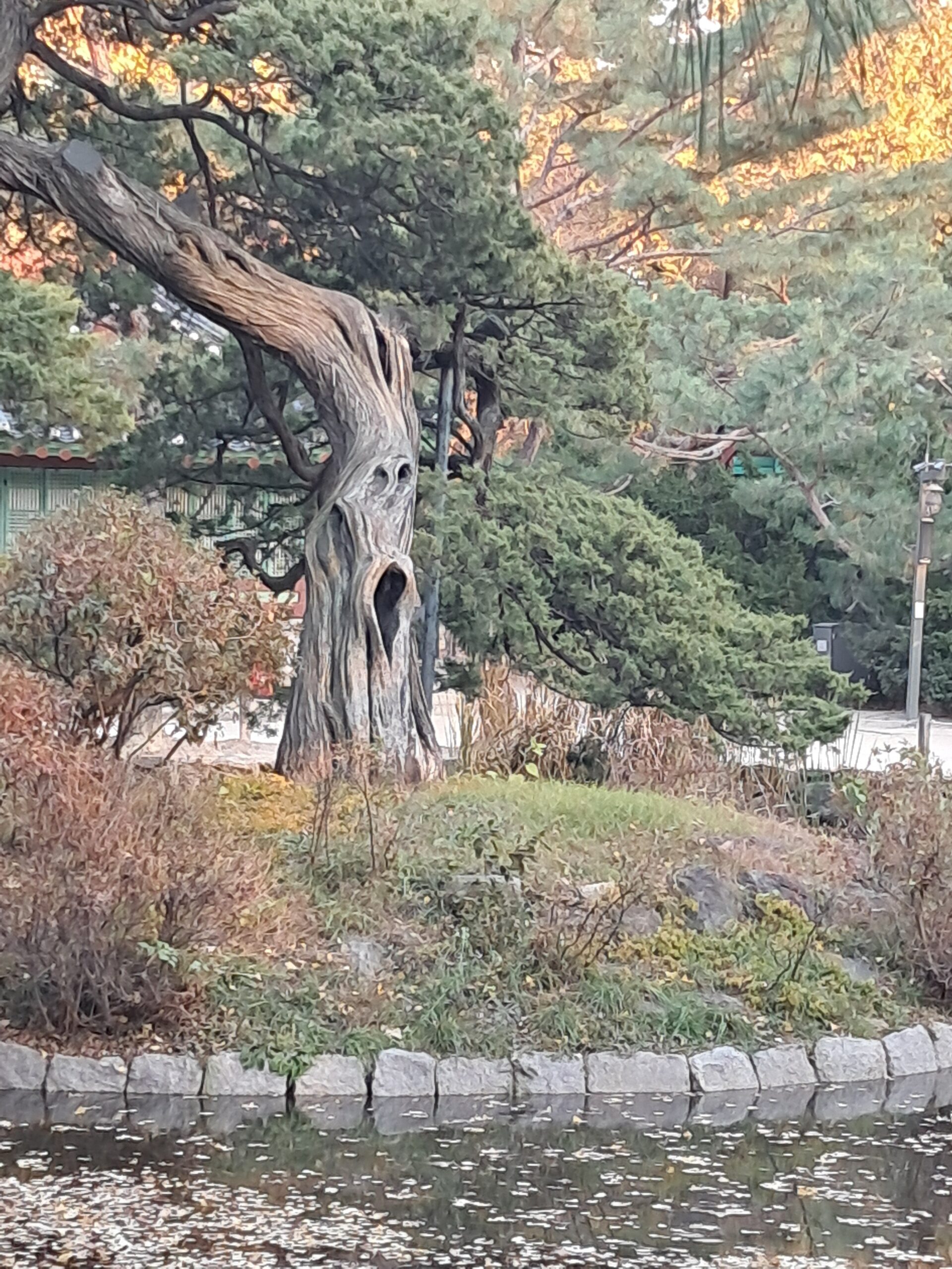 [Essay]종묘사직_13