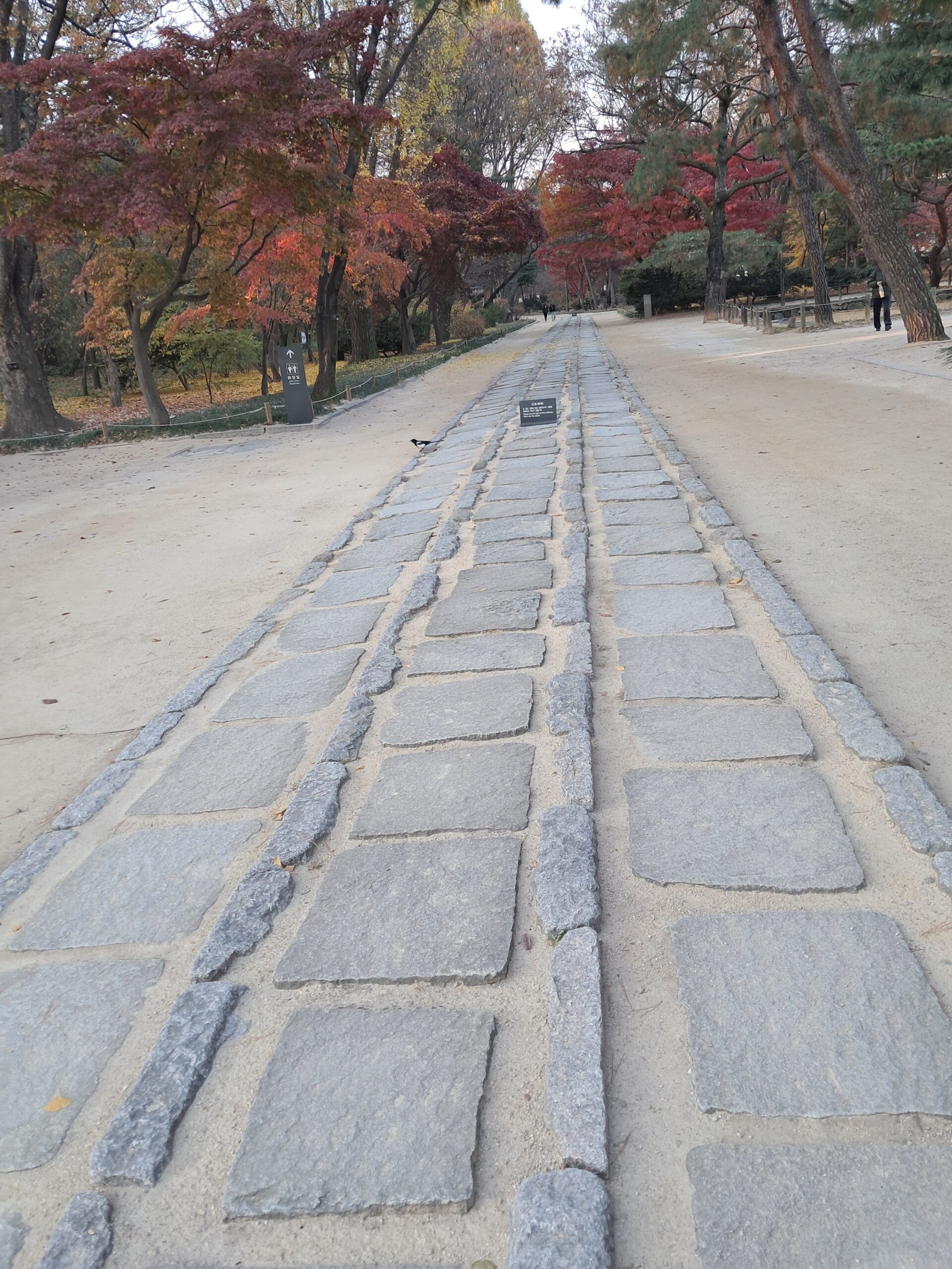 [Essay]종묘사직_6