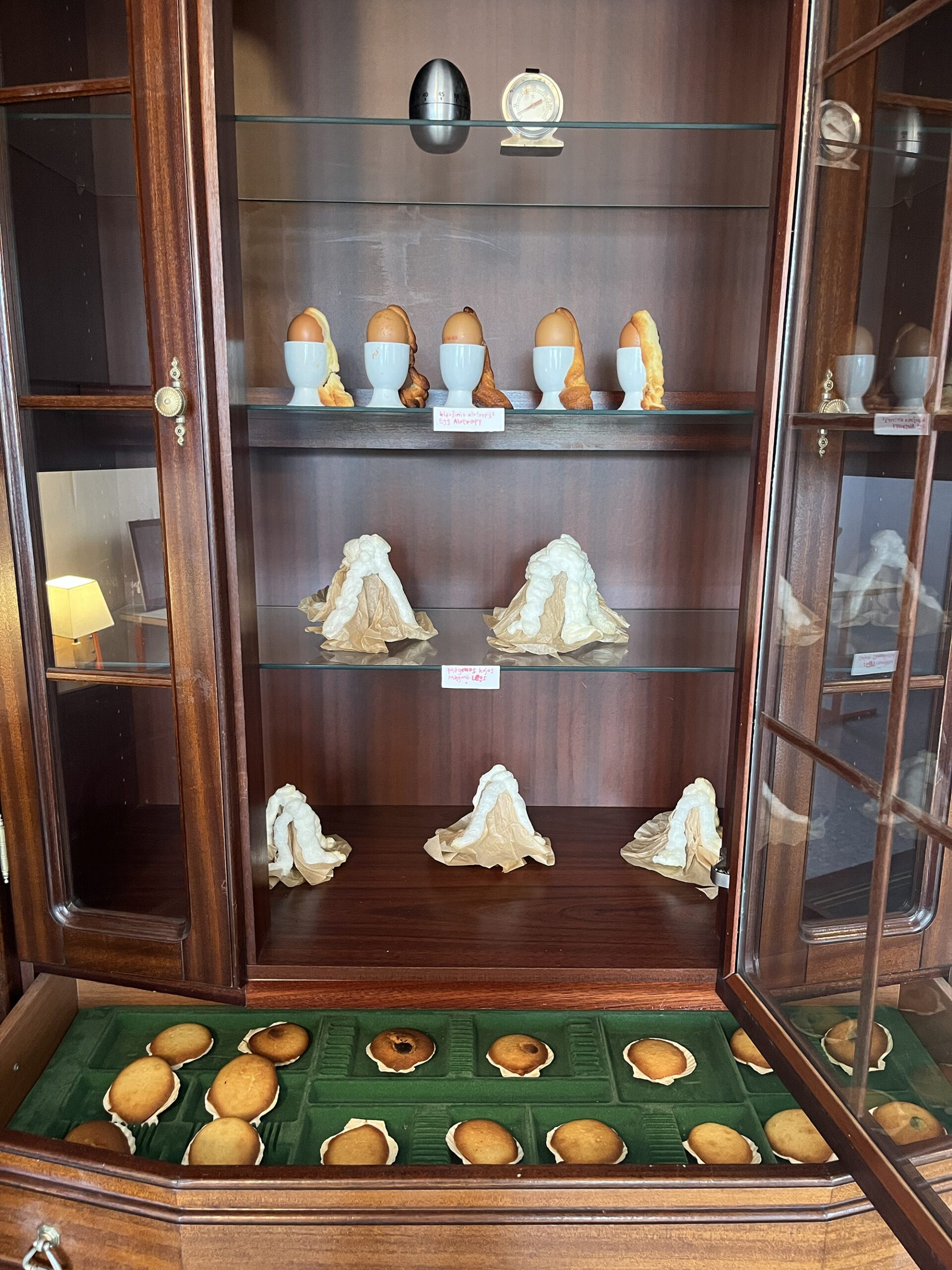 [VP]안데스_17