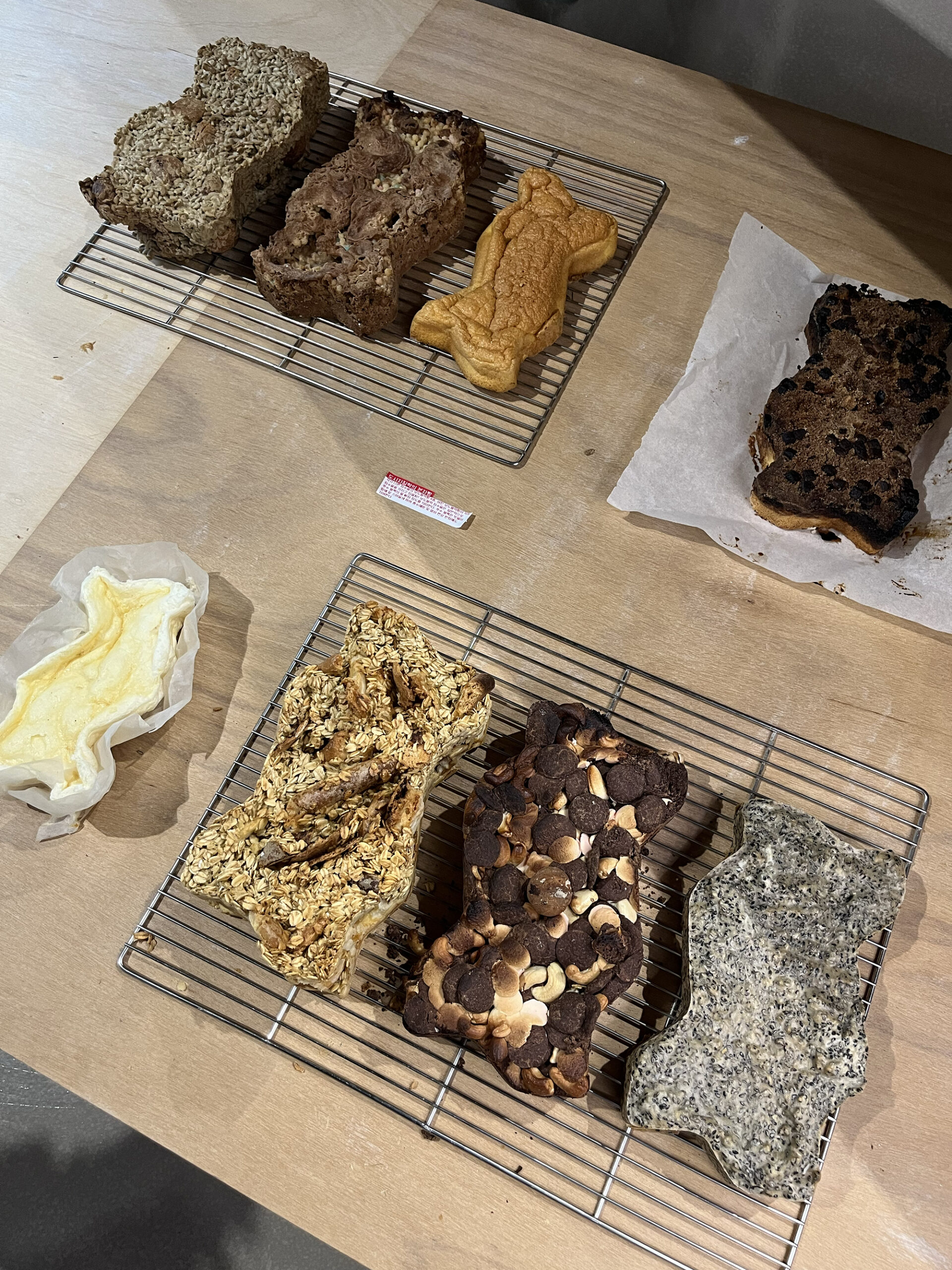 [VP]안데스_22