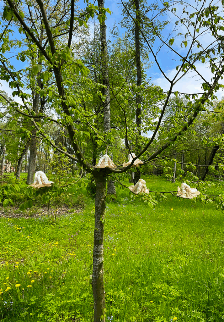 [VP]안데스_2_인트로