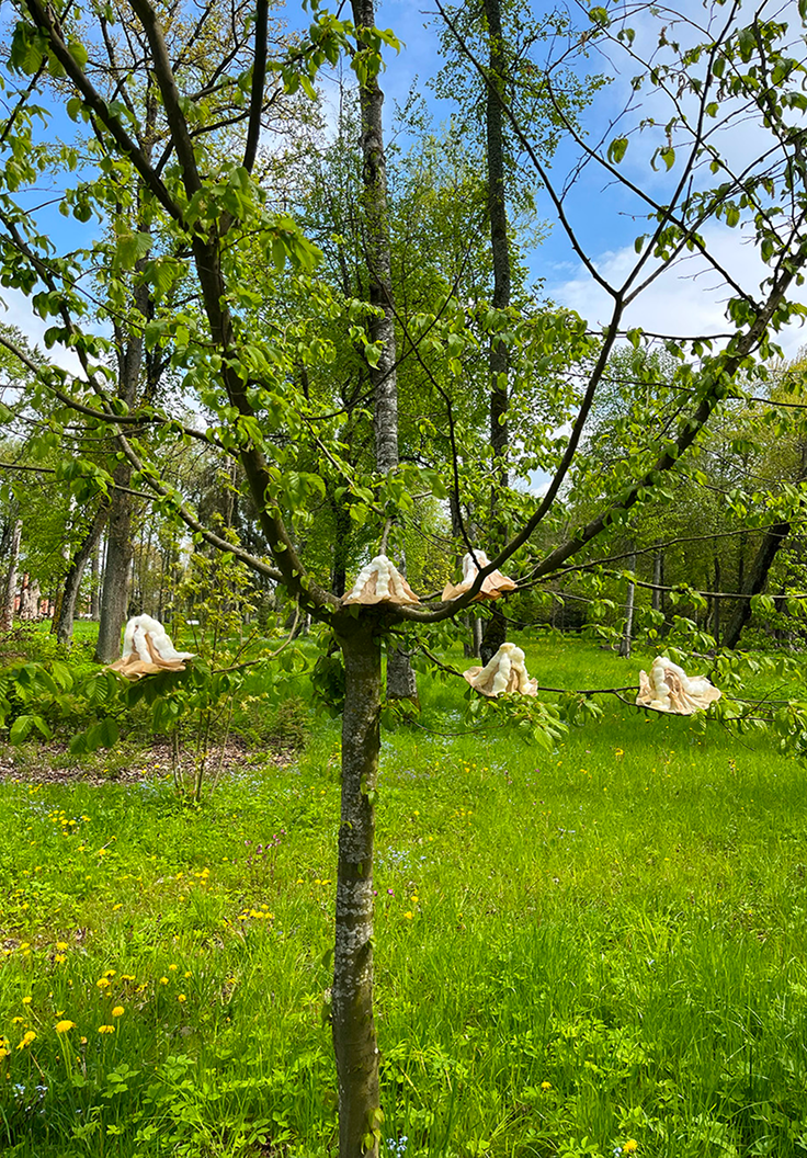 [VP]안데스_2_인트로