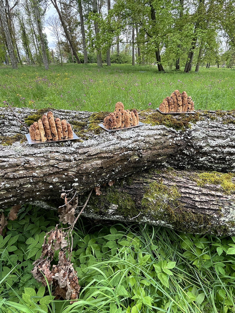 [VP]안데스_3