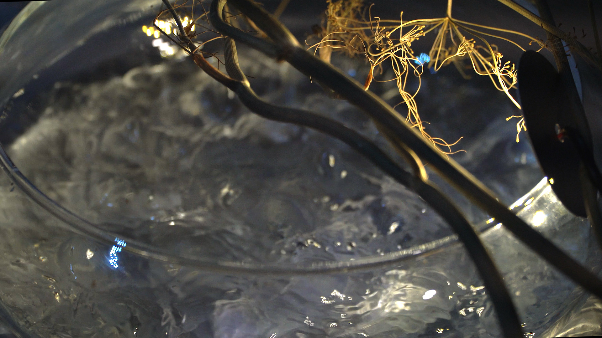 [BA]오로민경_11