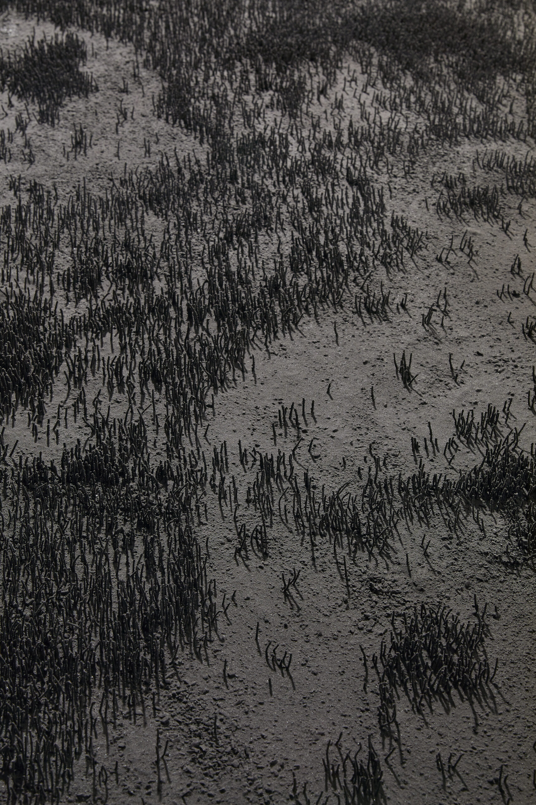 [VP]김소연_23