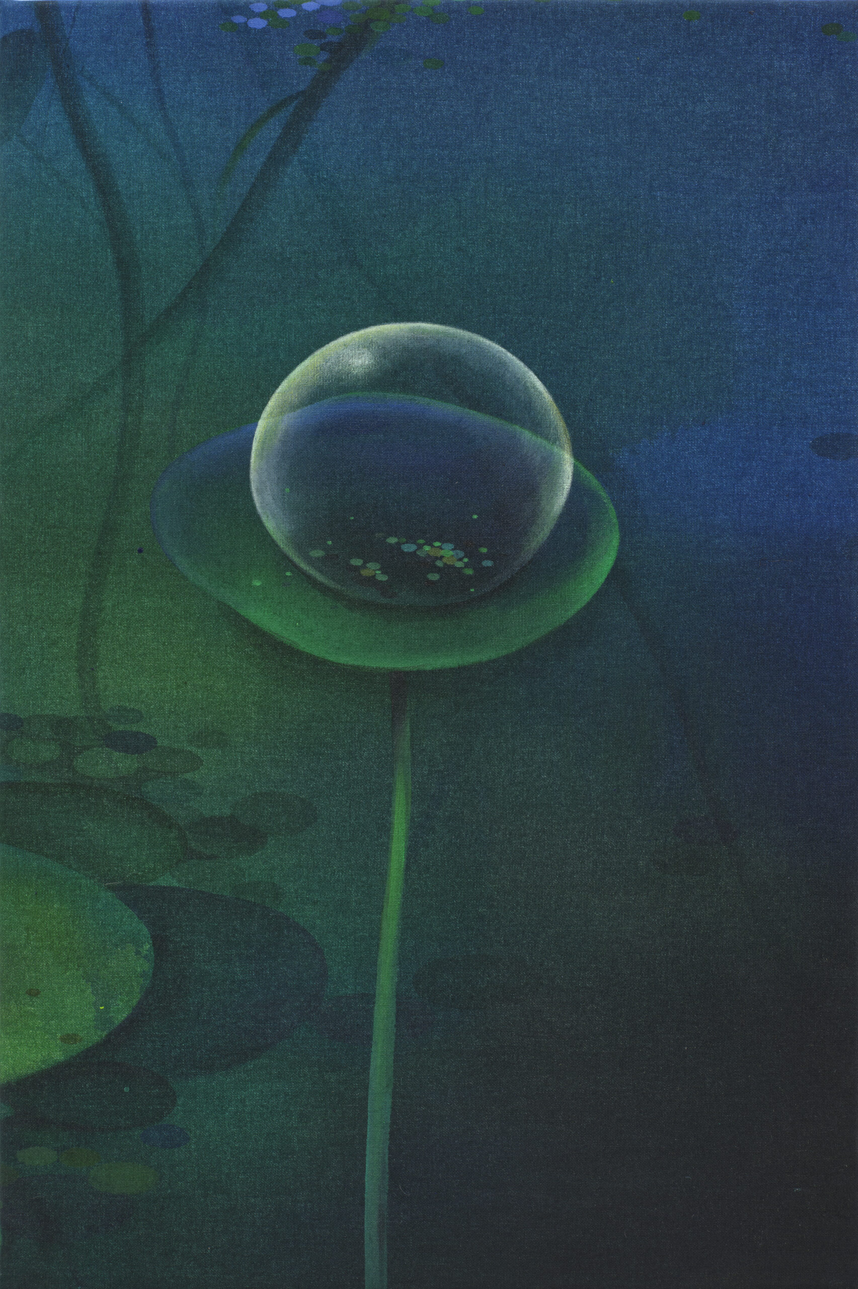 [VP]박주애15