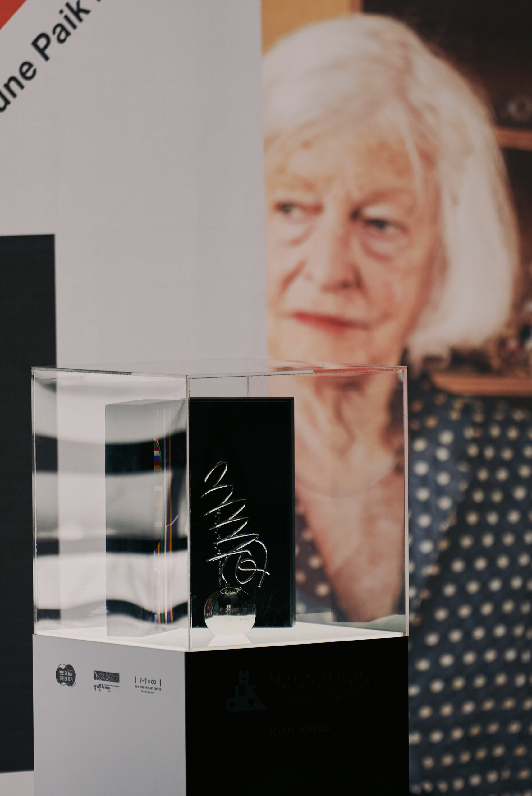 [REVIEW]조안조나스_6