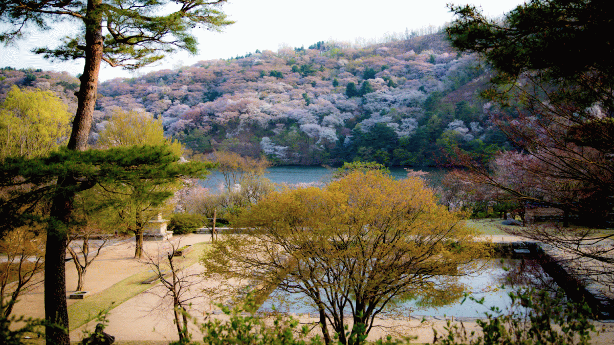 [ATTITUDE]정영선_20