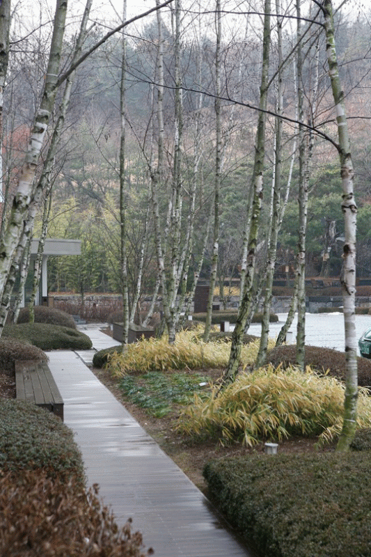 [ATTITUDE]정영선_21