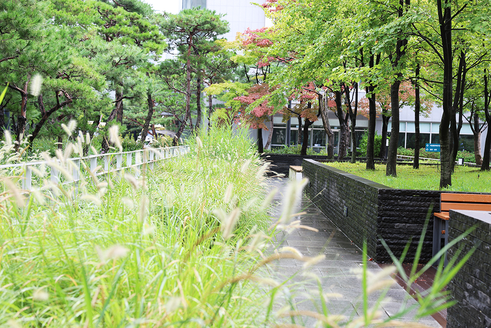 [ATTITUDE]정영선_23