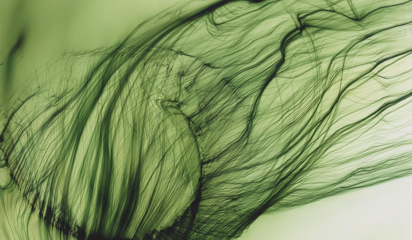 [ESSAY]전대한_1