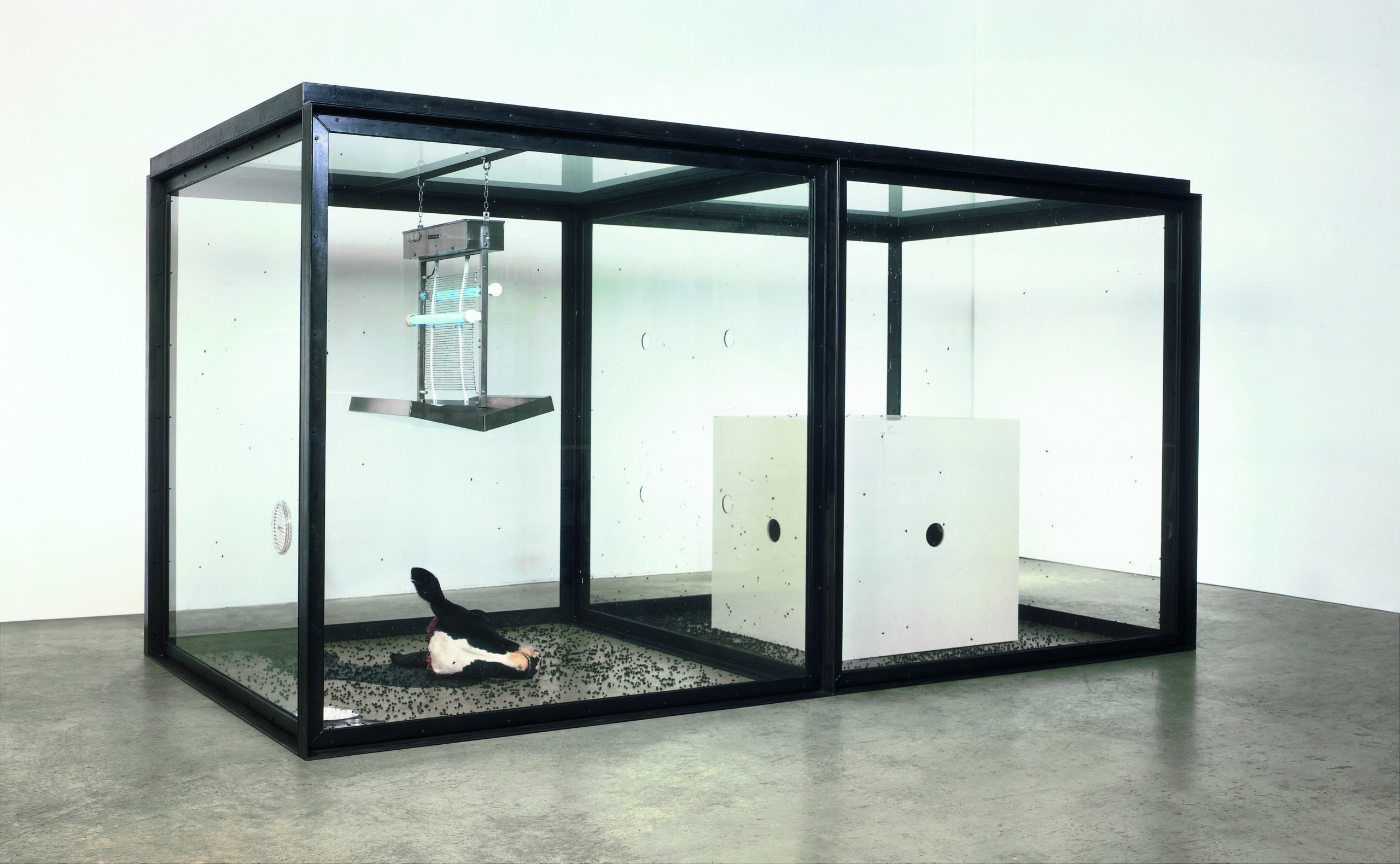 [ESSAY]증상앤더시티4_11