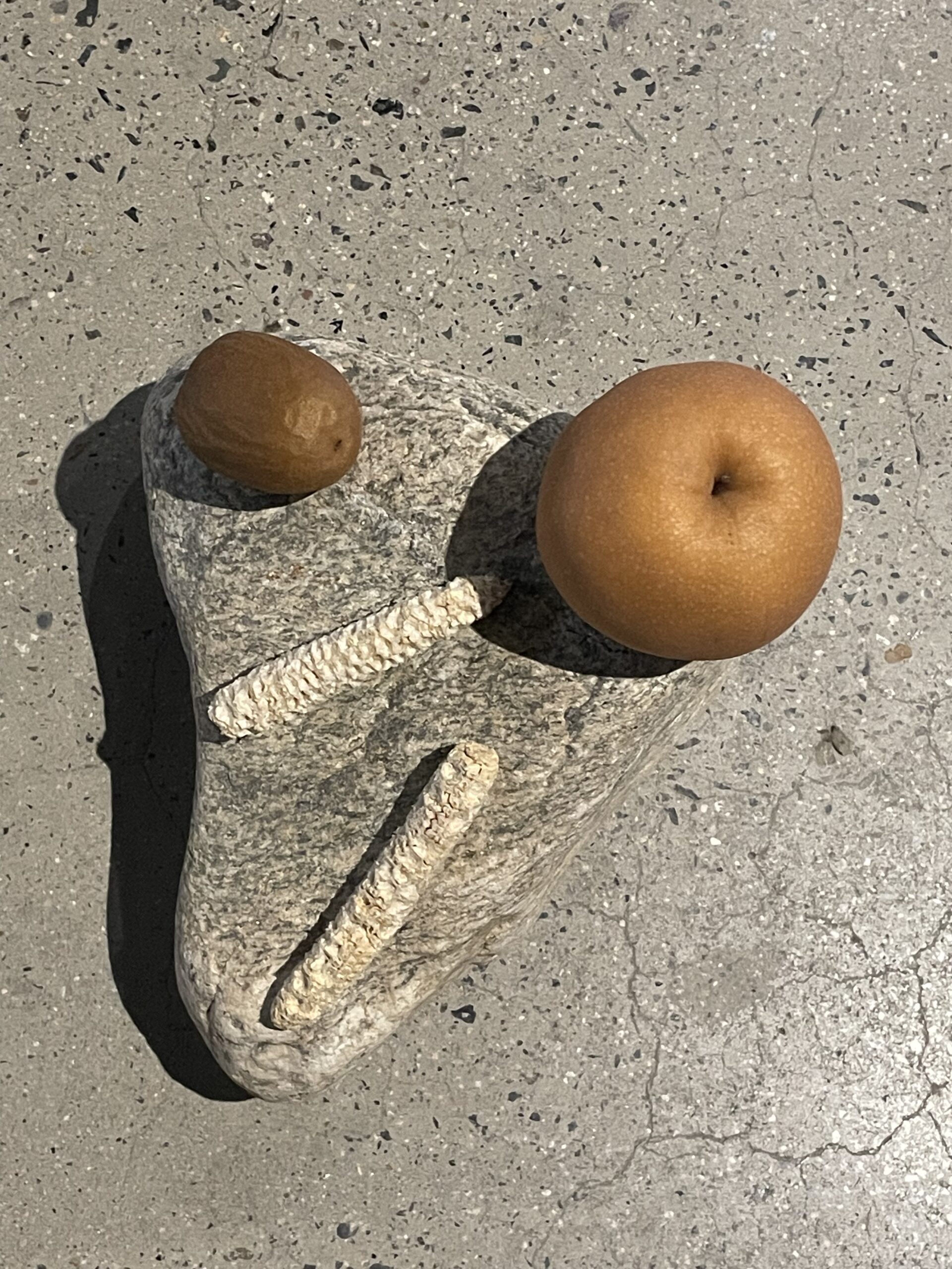 [ESSAY]증상앤더시티4_16